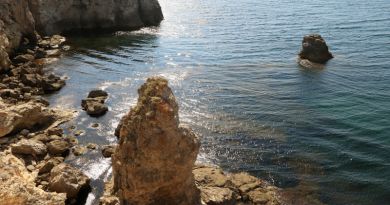 Экскурсия из Судака: Морская прогулка к мысу Меганом (бухта Гравийная)  фото 9507