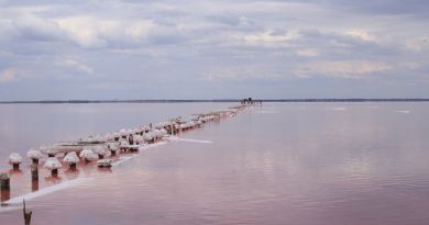 Озеро Сасык-Сиваш (розовое озеро)