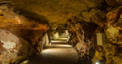Экскурсии в `Пещера Таврида` из Судака